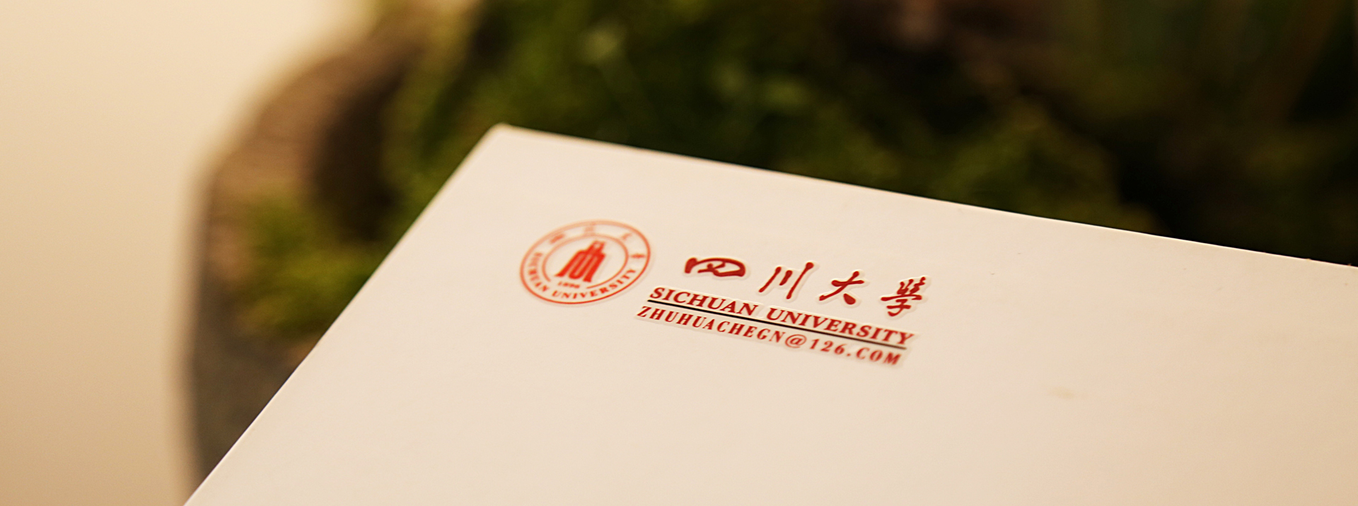 四川大学 四川大学