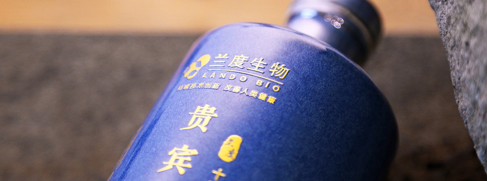 中汾酒城 (杏花村)